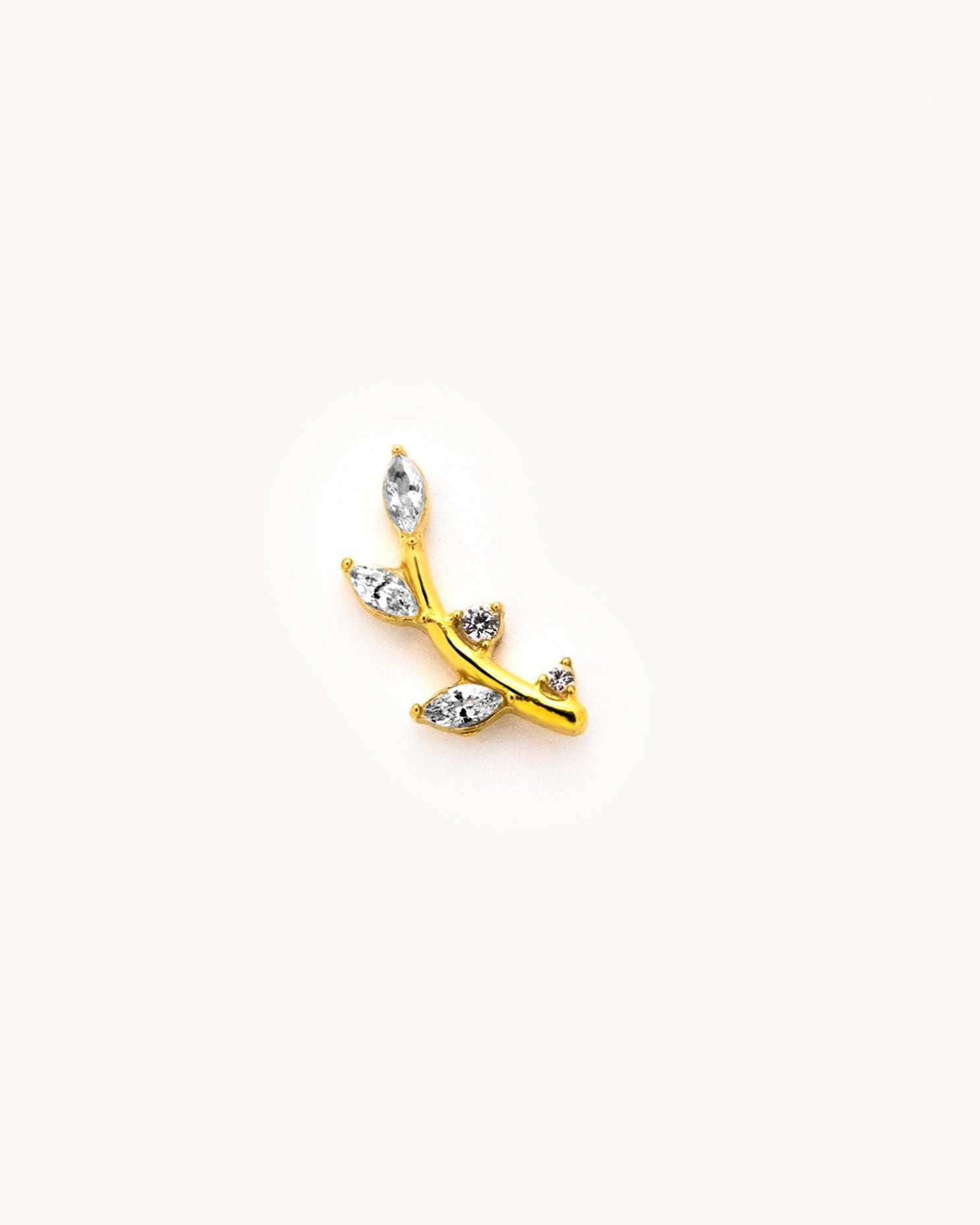pothos piercings Piercing Pothos – VIKIB